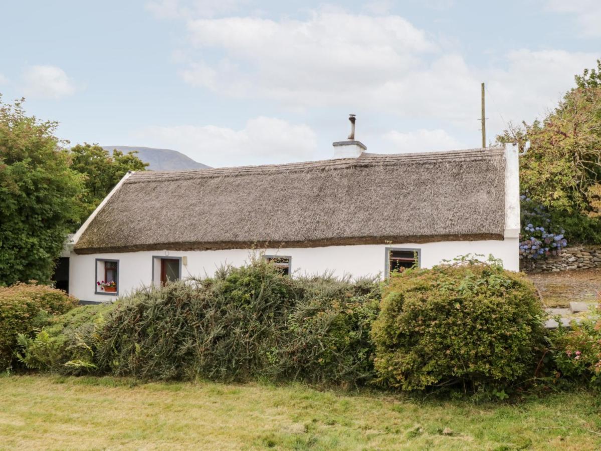 The Thatched Cottage Liscarney Eksteriør bilde